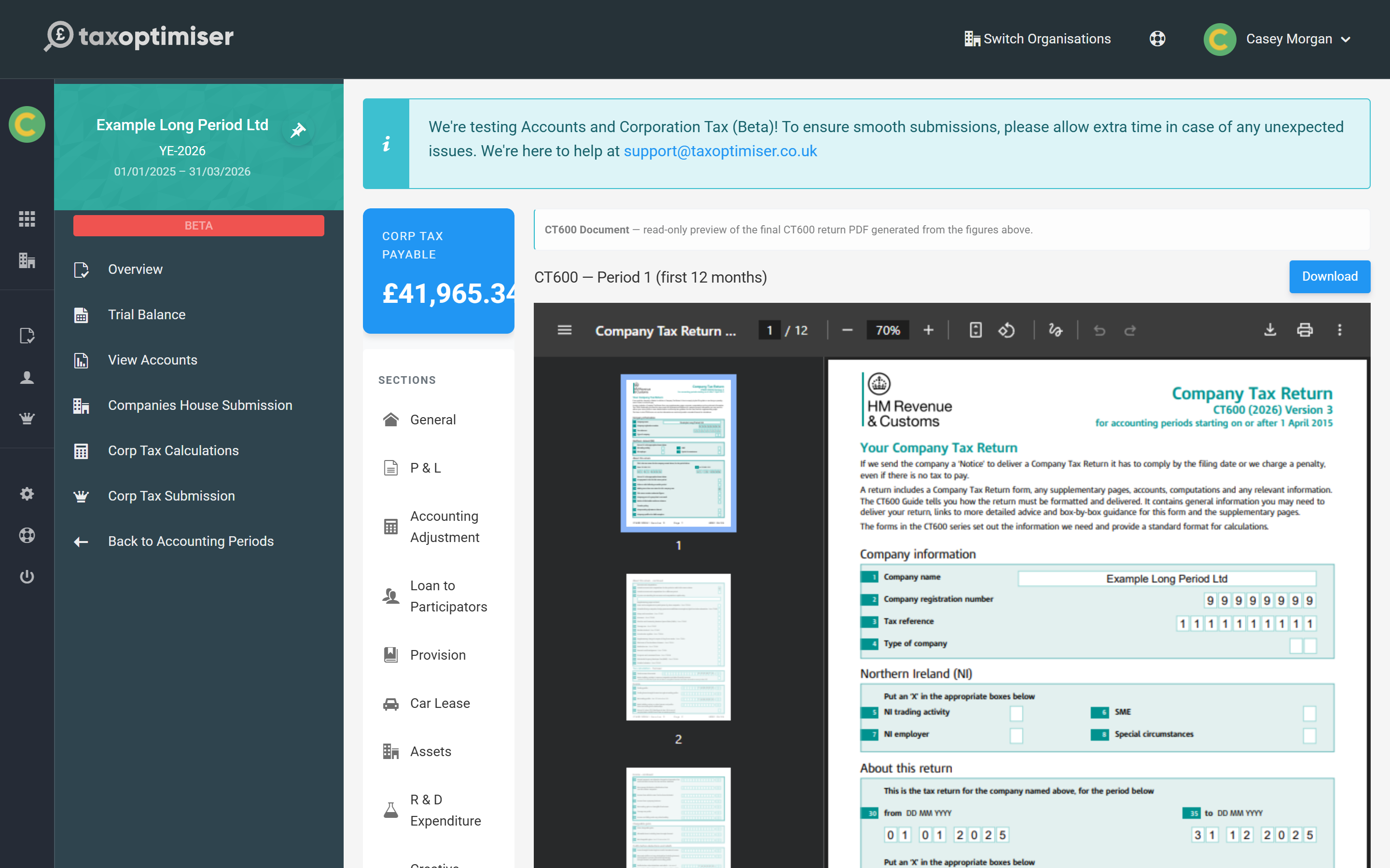 The CT600 Document section showing the CT600 - Period 1 (first 12 months) preview with a Download button